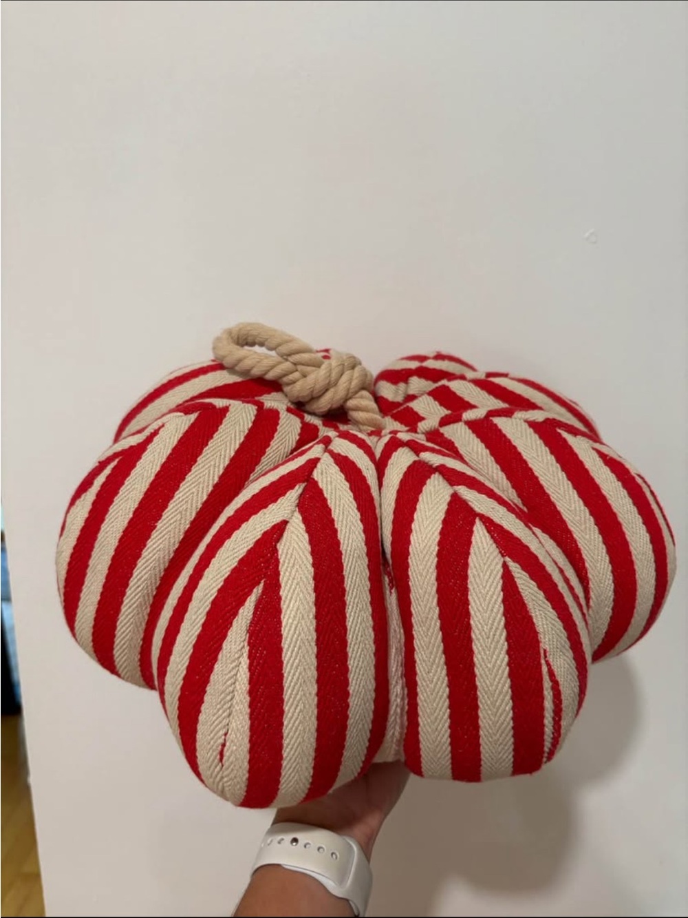 Striped Fabric Pumpkin Decorative Pillow - Brand: